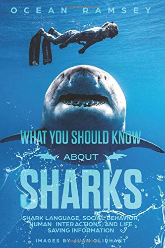 Ocean Ramsey - Full Color Version WHAT YOU SHOULD KNOW ABOUT SHARKS: Shark Language, Social Behavior, Human Interactions, and Life Saving Information - Preis vom 14.10.2026 23:07:16 h
