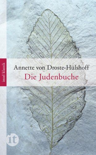 Droste-Hülshoff, Annette von - Die Judenbuche: Ein Sittengemälde aus dem gebirgichten Westfalen (insel taschenbuch) - Preis vom 02.10.2026 23:42:20 h