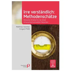 Irre Verständlich: Methodenschätze, Fachbücher von Matthias Hammer, Irmgard Plössl