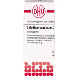 Caladium Seguinum D12 10 G