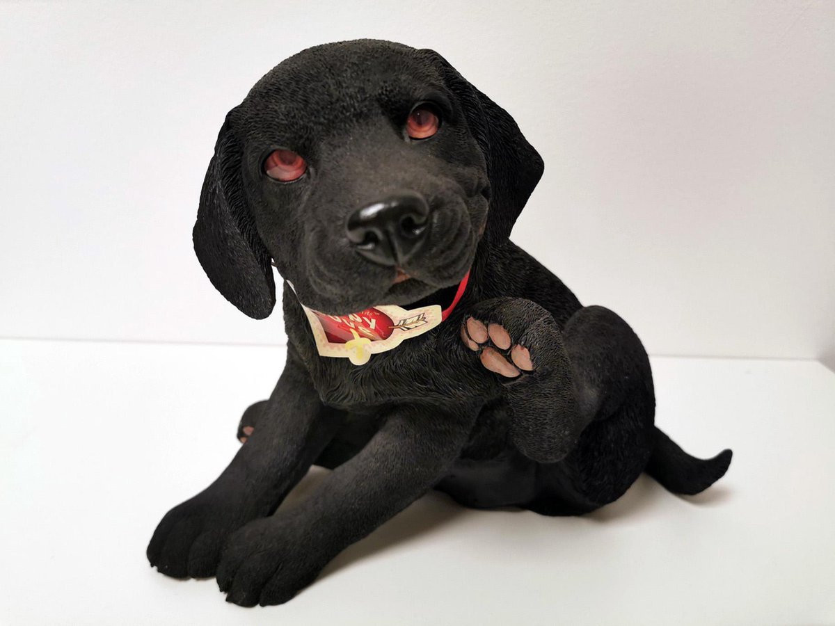 Country Artist Hond Puppy Labrador Zwart 25cm