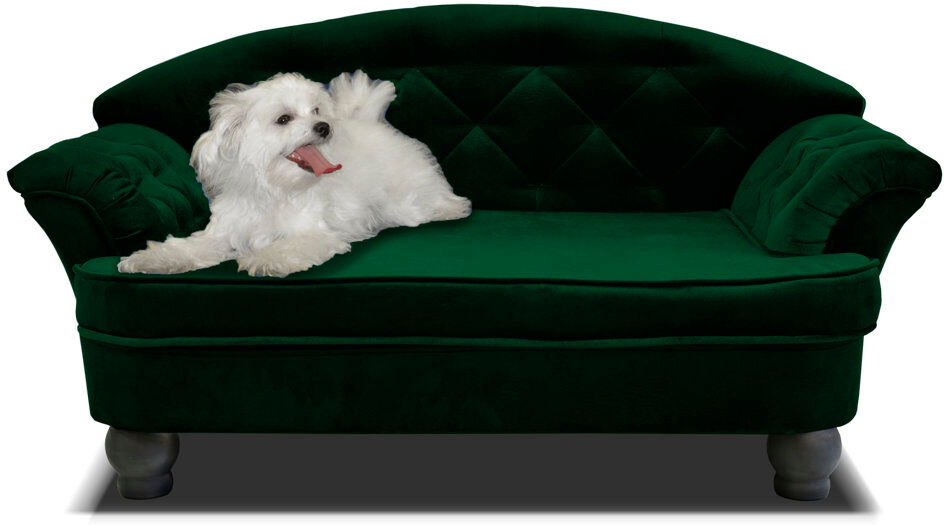 Archie & Oscar Debose Orthopedic Memory Foam Pet Bed Dark Green Extra Extra Large (91 lbs and up);XXL (40kg and more)