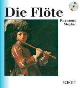 Raymond Meylan - Die Flöte: Grundzüge ihrer Entwicklung von der Geschichte bis zur Gegenwart. Ausgabe mit CD. (Unsere Musikinstrumente) - Preis vom 13.10.2026 19:28:25 h