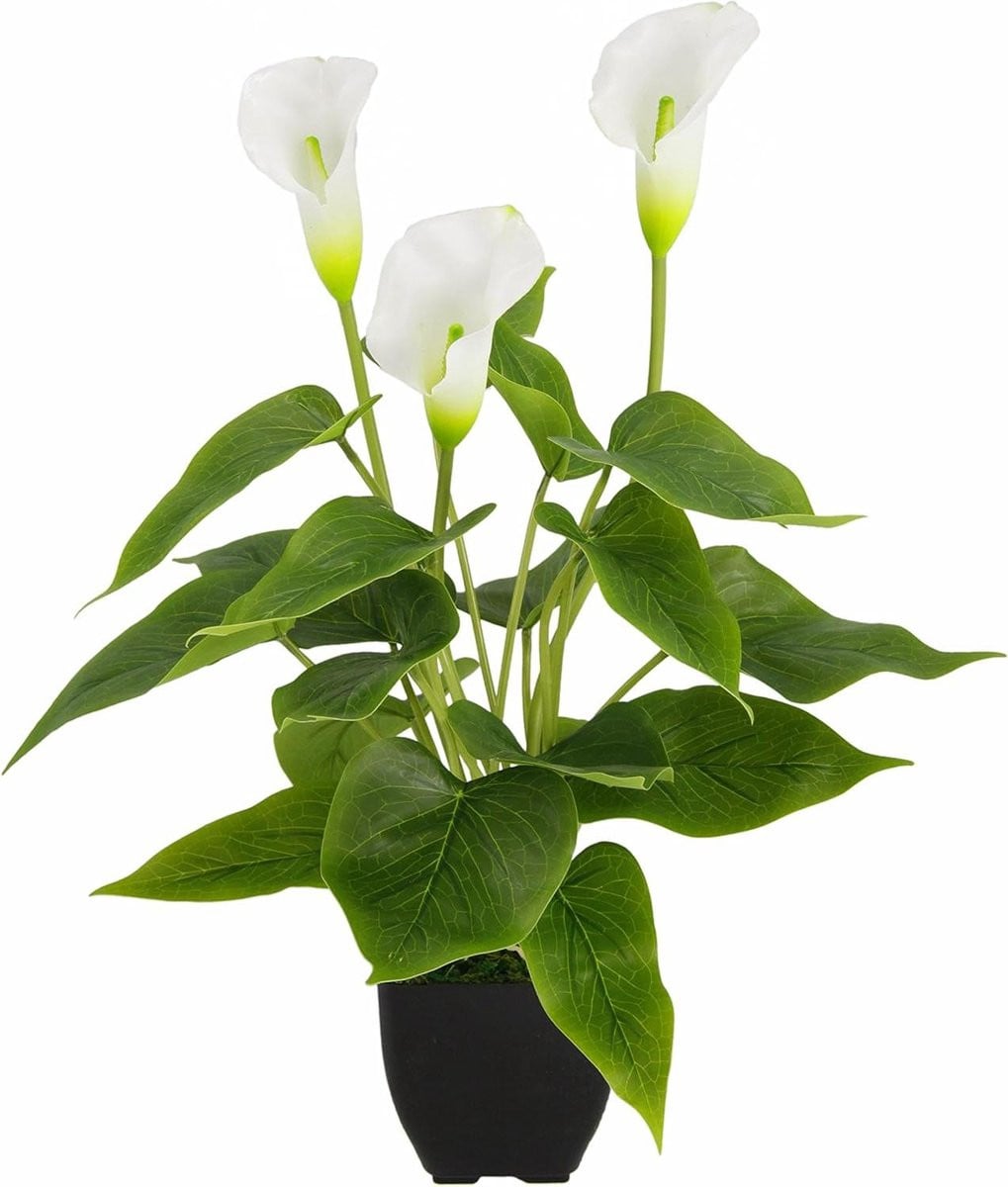 Kunstplant Calla Wit - Gedetailleerde Nep Bloem voor Woondecoratie - B/D/H: 42 x 20 x 20 cm