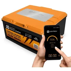 LionTron 300Ah 12,8V LiFePO4 Batterie ARCTIC mit Bluetooth & Heizung – Wohnmobil Versorgungsbatterie