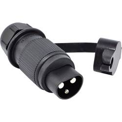 BAAS Startsystem BS20 Stecker