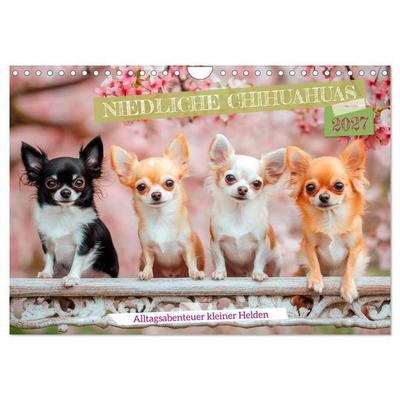 Niedliche Chihuahuas (Wandkalender 2027 DIN A4 quer), CALVENDO Monatskalender