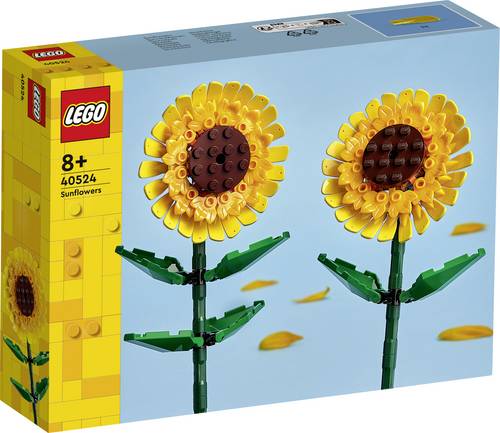 LEGO Botanicals 40524