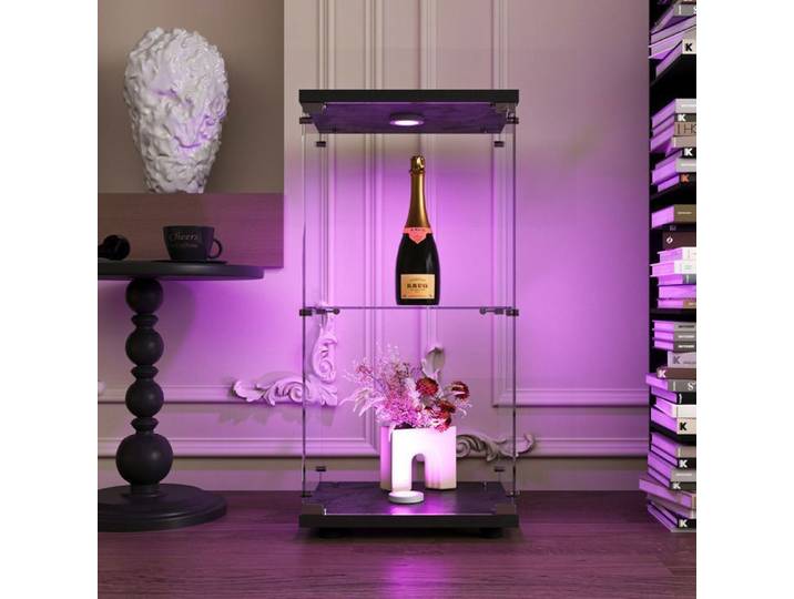 Vitrine en Verre LED Vitrine pour collection Vitrine sur pied Vitrine en verre pour collection avec serrure 1 portes 2 étages Noir