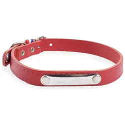 Martin Sellier Rive (25, 60, Hund, Allgemein, Spazieren), Halsband + Leine