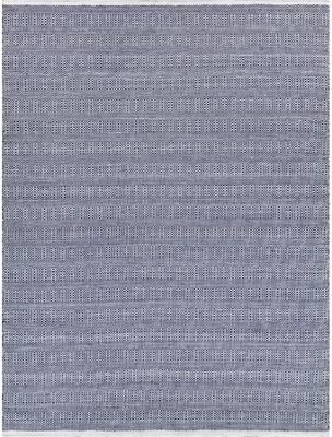 Exquisite Rugs Echo Indoor/Outdoor Flatweave PET yarn Ivory/Blue Area Rug.