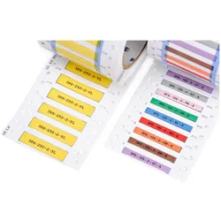 Brady BBP72-PLUS Double-Sided, Etikettendrucker, Schwarz