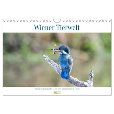 Wiener Tierwelt (Wandkalender 2026 DIN A4 quer), CALVENDO Monatskalender