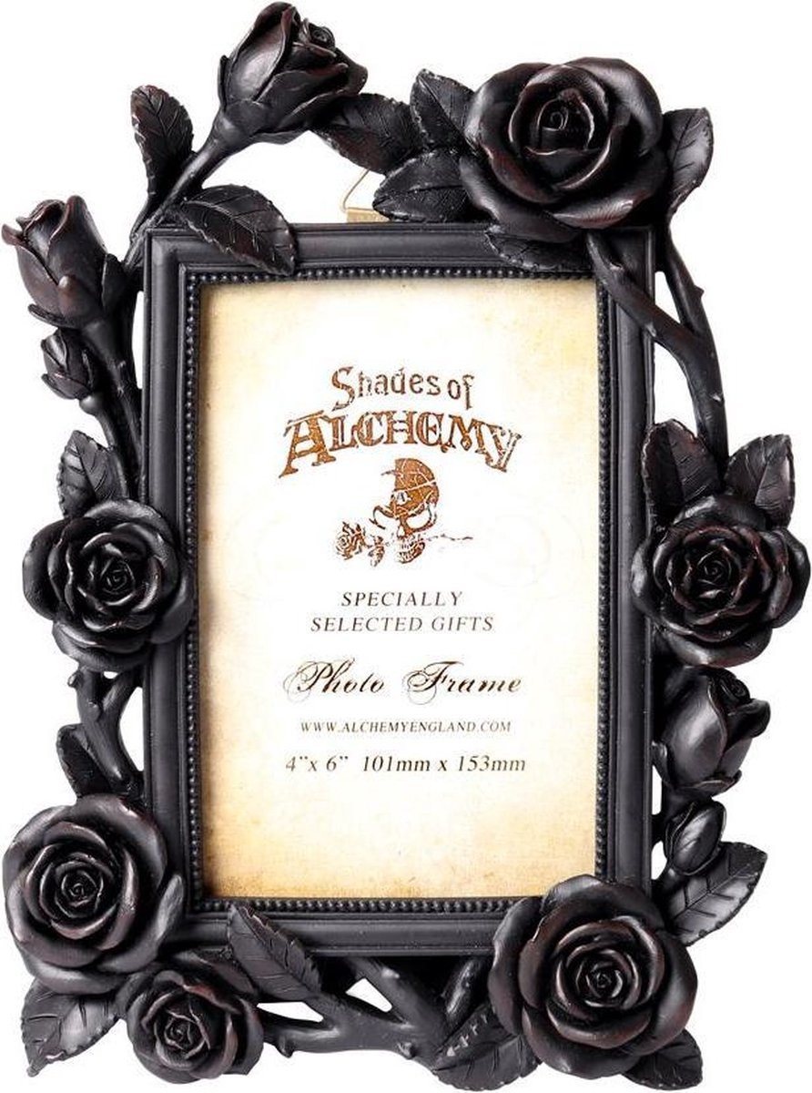 Alchemy Rose & Vine Fotolijst - Zwart - 6x4 inch
