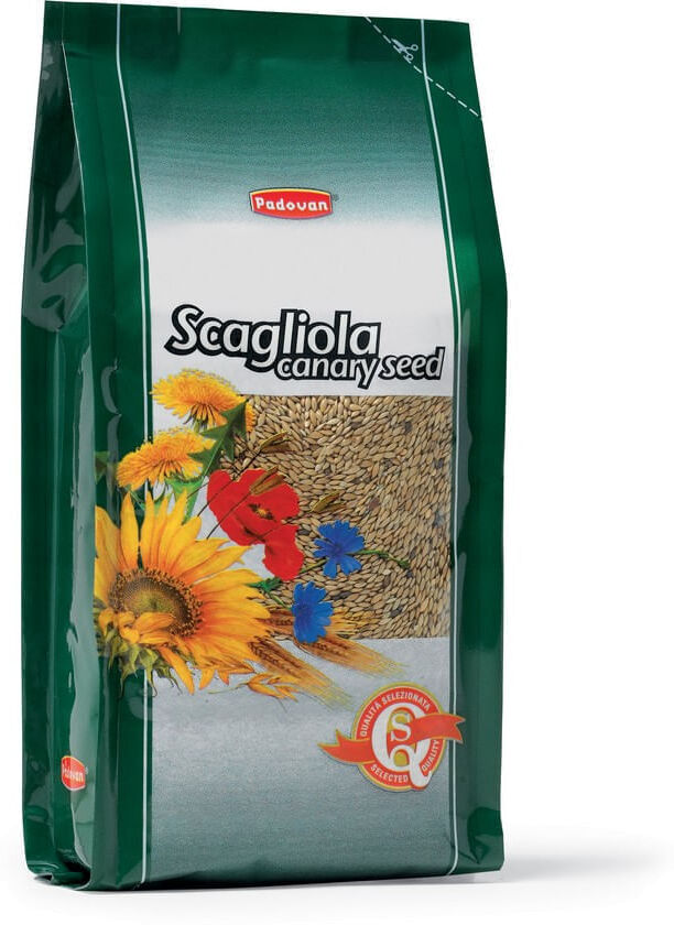 PADOVAN Scagliola Canary Seed KIT RISPARMIO 2X1KG