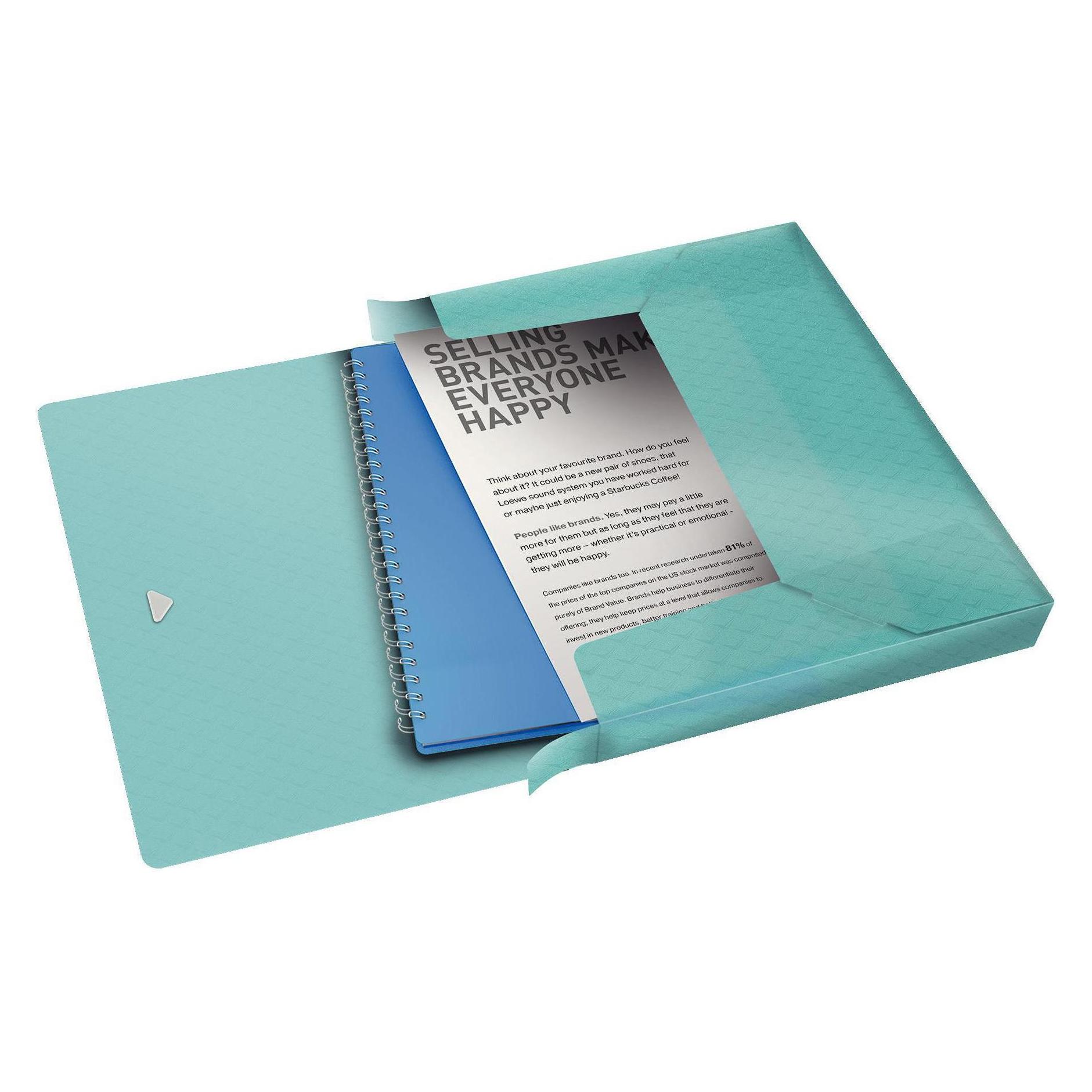 Esselte Ablagebox (A4) (626264)