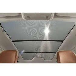 Skoda Enyaq Sonnenschutz Panoramadach 5LE064365