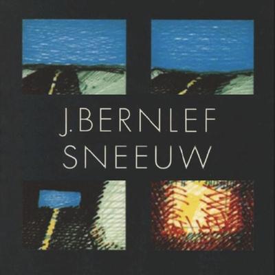 Sneeuw - Bernlef, Audio, 9789463637534