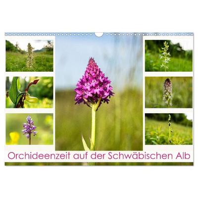 Orchideenzeit auf der Schwäbischen Alb (Wandkalender 2027 DIN A3 quer), CALVENDO Monatskalender