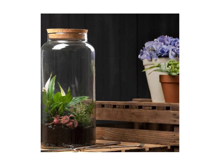 Terrarium ESSCHERT DESIGN L, 45430 x 41.3 cm , transparent, H:41,3cm, Glas, Vivarien, Terrarium