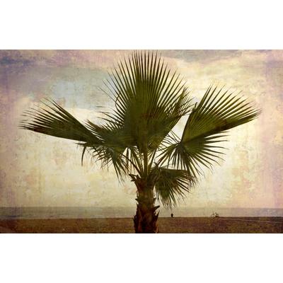 Fototapete PAPERMOON "PALMEN-NATUR LANDSCHAFT STRAND MEER PALME BÄUME BAUM", bunt, B:2,5m L:1,86m, Vlies, Tapeten