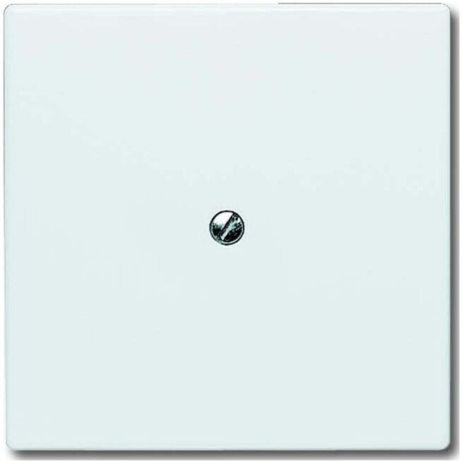 Busch-Jaeger Rosace aveugle aws avec bague de support 2138-34 (2CKA001710A1852)