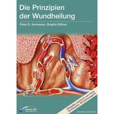 Die Prinzipien der Wundheilung, Gebundene Ausgabe von Peter D. Asmussen,Brigitte Söllner, CM Medienverlag, 978-3-900254-41-4