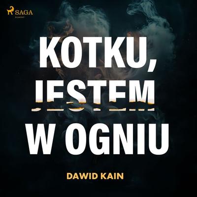 Kotku jestem w ogniu - Dawid Kain, Audio, 4057664935564