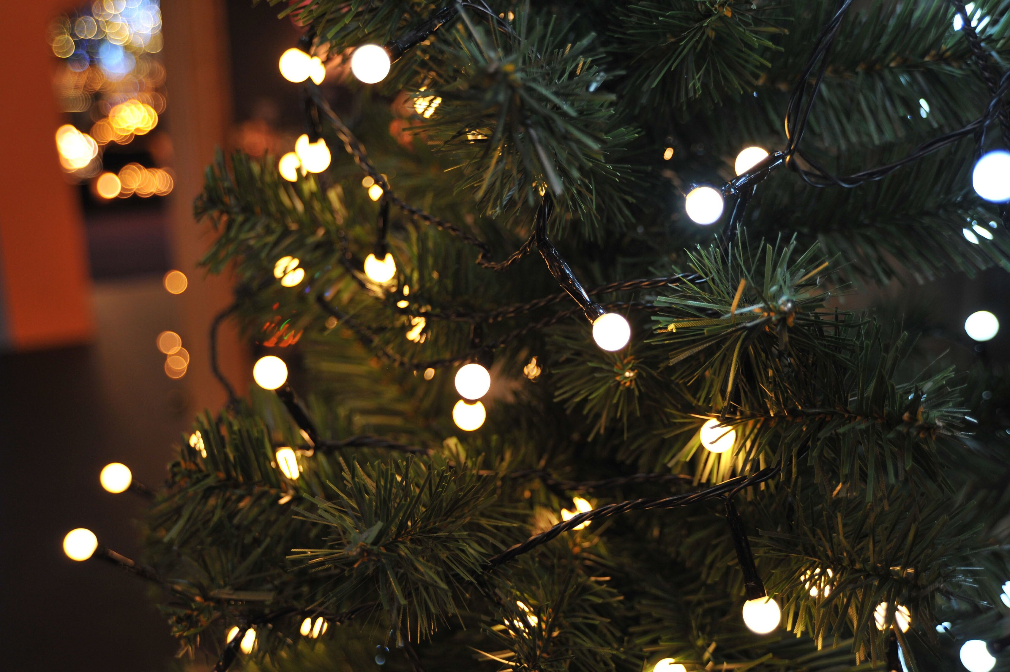 KONSTSMIDE LED-Lichterkette "Weihnachtsdeko aussen", Energieeffizienz: F, schwarz, Dioden 160 Stk. Flammen 160 Stk., Gesamtlänge 17,72m, Lichterketten, LED Globelichterkette, runde Dioden, 160 warm weiße Dioden, LED-Lichterkette