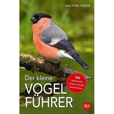 Der kleine Vogelführer, Taschenbuch von Walther Thiede, Blv, 978-3-8354-1721-2