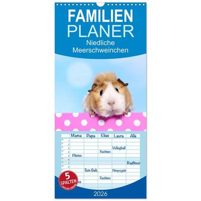 Familienplaner 2026 - Niedliche Meerschweinchen mit 5 Spalten (Wandkalender, 21 x 45 cm) CALVENDO