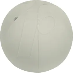 LEITZ 65420085 - Leitz Ergo Cosy Active Sitzball, Anti-Wegroll, 65 cm, grau