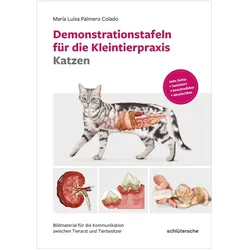 Demonstrationstafeln für die Kleintierpraxis Katzen, Fachbücher von María Luisa Palmero Colado, Mara Luisa Palmero Colado, Palmero Colado, María Luisa
