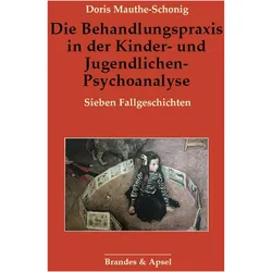 Die Behandlungspraxis in der Kinder- und Jugendlichen-Psychoanalyse, Fachbücher von Doris Mauthe-Schonig