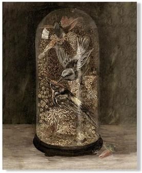 Inspire Essentials Vintage Owl Wall Art Dark Academia Canvas Cottagecore Nature Decor 7 60x80 Cm No Frame