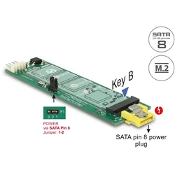 DELOCK Konverter SATA 8Pin Power Bu > M.2 KeyB Slot