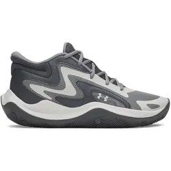 Under Armour, Herren, Hallenschuhe, UA Jet '25 (42), Grau