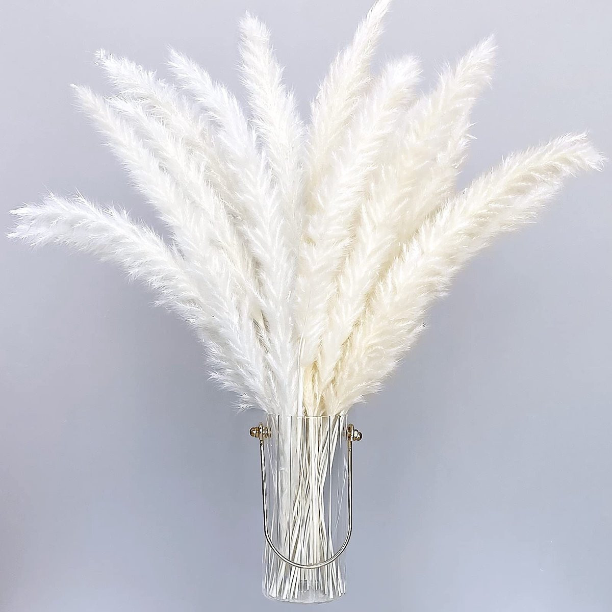 Dailygoods Pampasgras 30 stuks - Gedroogde natuurlijke pluimen voor boho decoratie - 40 cm