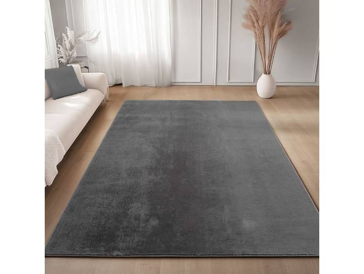 Carpettex Tapis Gris 200x280 cm  Lavable Tapis à Poils Courts Doucement Antidérapant pour Chambre Salon