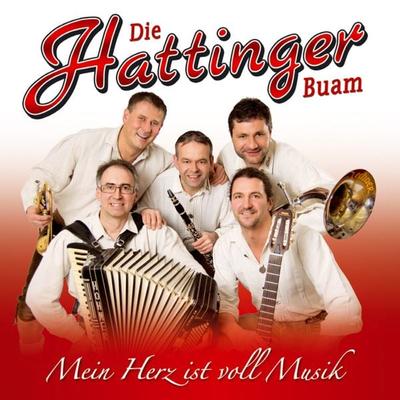 Mein Herz ist voll Musik - Hattinger Buam, CD, 9003549530527