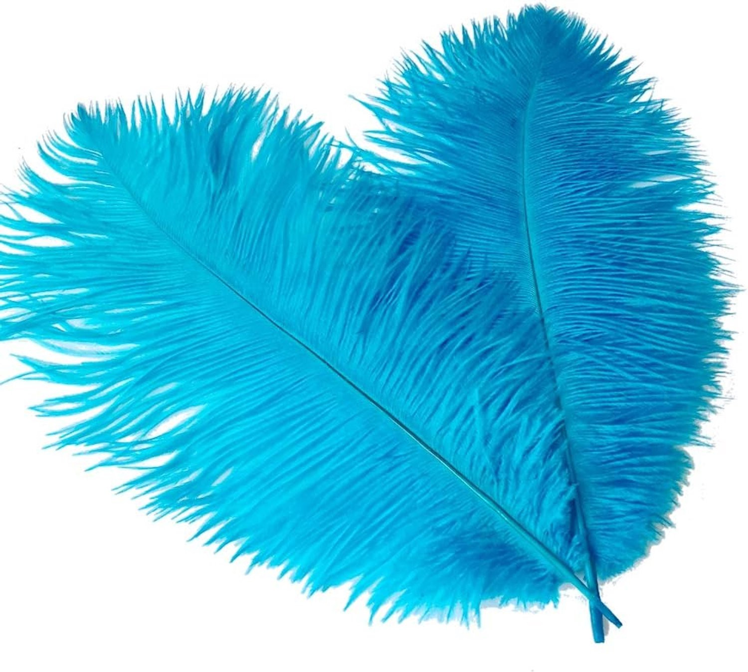 Luxento Set van 10 Turquoise Struisvogelveren, 35-40 cm
