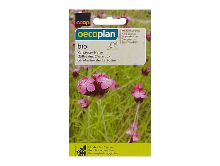 Oecoplan Kartäuser-Nelke Bio