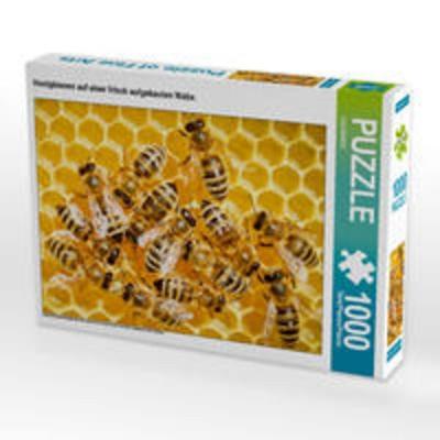 CALVENDO Puzzle Honigbienen auf einer frisch aufgebauten Wabe. | 1000 Teile Lege-Größe 64x48cm Foto-Puzzle für glückliche Stunden
