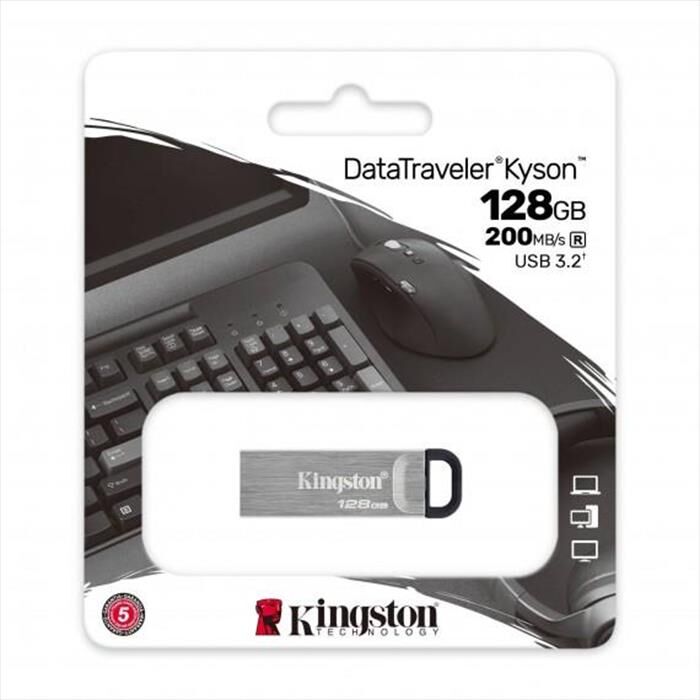 Kingston Memoria 128 Gb Dtkn128gb-argento
