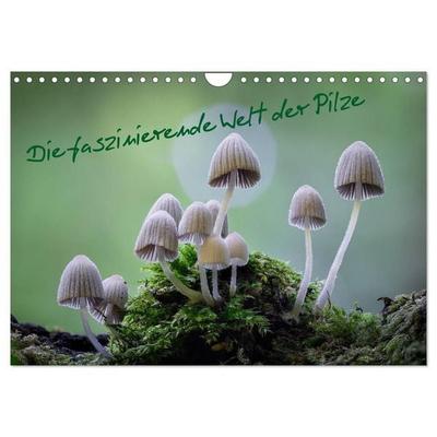 Die faszinierende Welt der Pilze (Wandkalender 2027 DIN A4 quer), CALVENDO Monatskalender