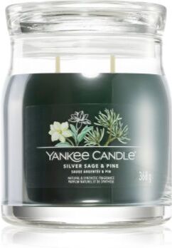 Yankee Candle Silver Sage & Pine vela perfumada Signature 368 g. Silver Sage & Pine