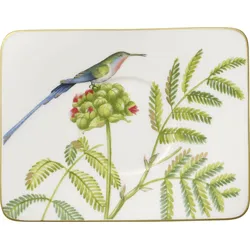 Amazonia Untertasse für Kaffeetasse