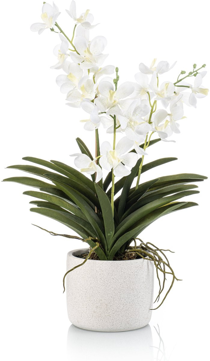 Emerald Kunstplant Vanda Orchidee in witte pot, 60 cm
