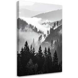 LEINWANDBILD Berge Wald Bäume Schwarz-Weiß 70x100cm
