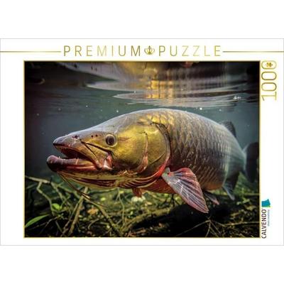 CALVENDO Puzzle Die XXL Stars unseres Planeten. | 1000 Teile Lege-Größe 64 × 48 cm Foto-Puzzle für glückliche Stunden, von , Calvendo Puzzle